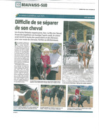 Article courrier picard - Journée du cheval 2013